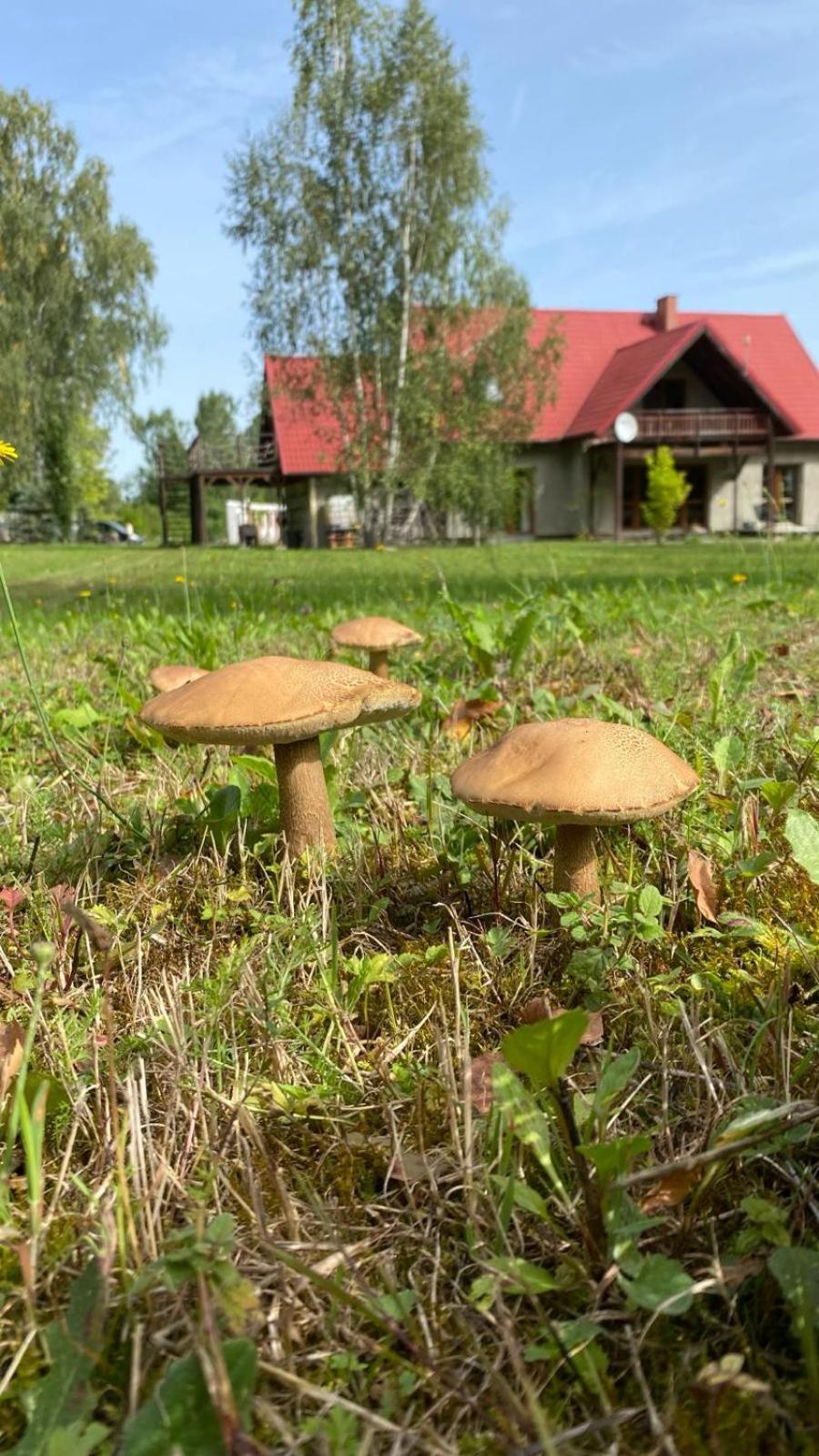Anielski Zakatek Kolonia Rybacka Eksteriør billede